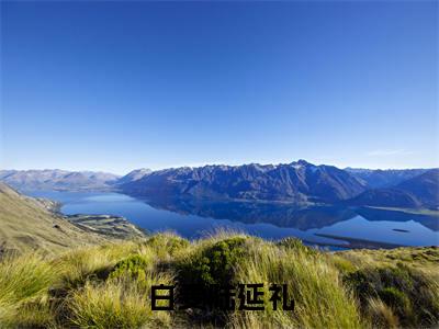 白雯陆延礼（白雯陆延礼）全文小说-白雯陆延礼小说最新章节免费阅读（免费）+（全文）