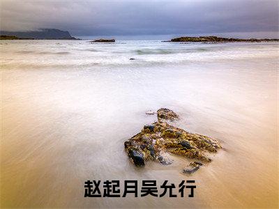 吴允行赵起月（完整版）热文小说阅读-吴允行赵起月全文抖音热推