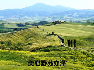 小说（樊心野苏亦泽）苏亦泽樊心野全文免费阅读无弹窗-苏亦泽樊心野小说全文在线赏析（今日更新最新章节）