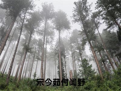 宋今茹付闻野（付闻野宋今茹）全文免费阅读无弹窗大结局_宋今茹付闻野最新章节列表_笔趣阁（付闻野宋今茹）