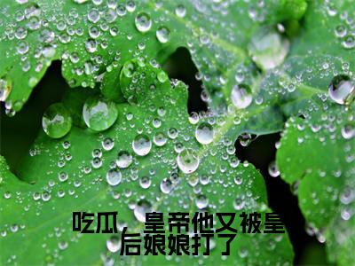 幽晗羽（吃瓜，皇帝他又被皇后娘娘打了）全文免费阅读无弹窗大结局_幽晗羽吃瓜，皇帝他又被皇后娘娘打了_笔趣阁