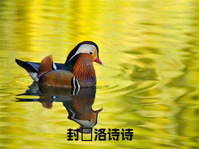 封彧洛诗诗（洛诗诗封彧）全文完整版免费阅读_封彧洛诗诗最新章节列表_笔趣阁（洛诗诗封彧）