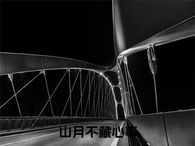 （山月不藏心事小说免费阅读）苏锦年全文免费阅读无弹窗大结局-山月不藏心事全文免费版阅读