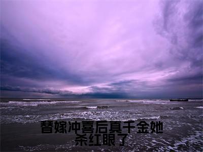 主角为林诗婉的小说-替嫁冲喜后真千金她杀红眼了（林诗婉）全文最新完整版阅读