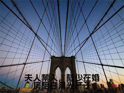 小说（夫人禁入，陆少在婚房陪白月光产子）乔茵陆一函全文阅读-夫人禁入，陆少在婚房陪白月光产子（乔茵陆一函）老书虫书荒推荐热点小说