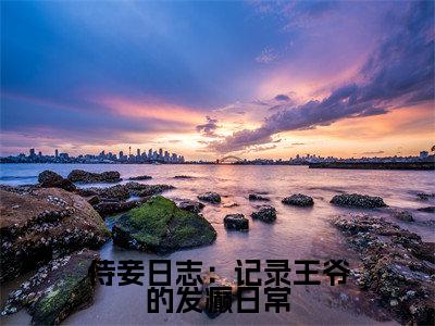 侍妾日志：记录王爷的发癫日常全文免费阅读_（时千夏顾清云免费阅读无弹窗）侍妾日志：记录王爷的发癫日常最新章节列表笔趣阁