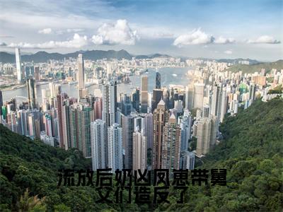 苦宝免费小说（流放后奶凶凤崽带舅父们造反了）全文免费阅读_苦宝免费小说苦宝小说最新章节列表笔趣阁