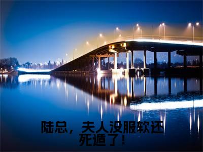 陆总，夫人没服软还死遁了！陆铮沈沐漓免费阅读无弹窗最新章节列表-（陆总，夫人没服软还死遁了！）陆铮沈沐漓全文免费阅读大结局笔趣阁