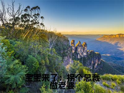 宝宝来了：拐个总裁做老婆乔安然程昱颂小说免费阅读-宝宝来了：拐个总裁做老婆抖音新书热荐