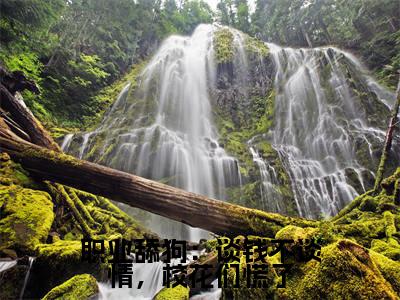 职业舔狗：谈钱不谈情，校花们慌了楚峰抖音新书热荐-小说职业舔狗：谈钱不谈情，校花们慌了全文完整版免费阅读