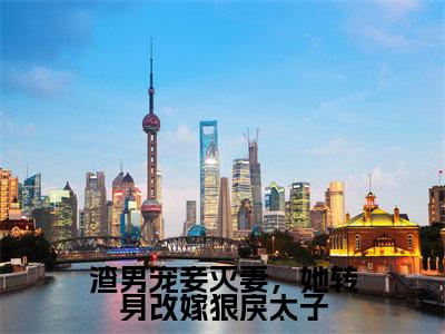 渣男宠妾灭妻，她转身改嫁狠戾太子（楚晚棠全文在线阅读）-渣男宠妾灭妻，她转身改嫁狠戾太子（楚晚棠）免费阅读无删减完整版