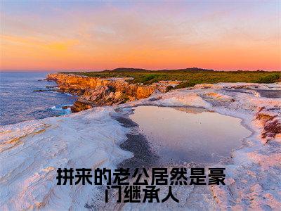 拼来的老公居然是豪门继承人全文小说（霍北辰沐宁曦）全文阅读-拼来的老公居然是豪门继承人在线小说免费阅读