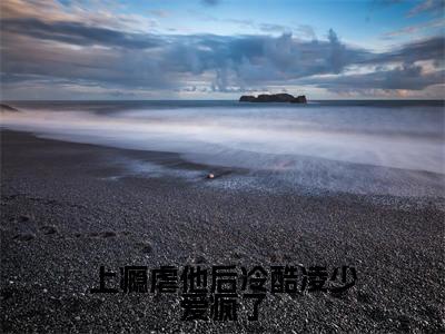 （上瘾虐他后冷酷凌少爱疯了）全文免费阅读无弹窗大结局-苏晨凌之奕全文阅读无弹窗