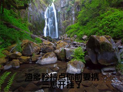 渣爹矜持点你前妻携三崽开挂了（陆夕柠季牧野）全文免费阅读无弹窗大结局_渣爹矜持点你前妻携三崽开挂了最新章节列表_笔趣阁（陆夕柠季牧野）