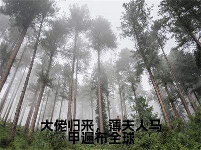 大佬归来，薄夫人马甲遍布全球小说舒兮薄暮年大结局阅读-新上热文小说大佬归来，薄夫人马甲遍布全球（舒兮薄暮年）讲的是什么