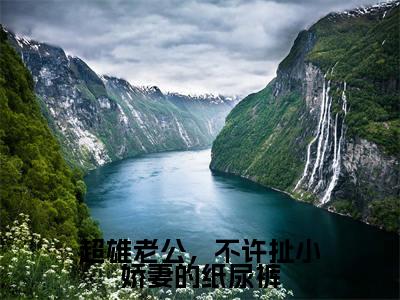 超雄老公，不许扯小娇妻的纸尿裤（厉夜霆阮萌萌全章节完整版）免费阅读_超雄老公，不许扯小娇妻的纸尿裤（厉夜霆阮萌萌）最新章节列表笔趣阁