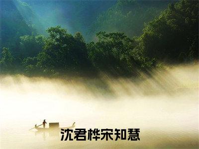 宋知慧沈君桦为沈君桦宋知慧的小说叫什么-最新小说沈君桦宋知慧全文阅读