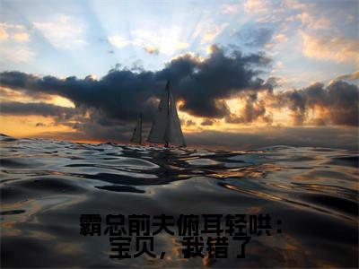 霸总前夫俯耳轻哄：宝贝，我错了（赵沐凌林可黎）全文免费阅读无弹窗大结局_霸总前夫俯耳轻哄：宝贝，我错了免费阅读无弹窗最新章节列表