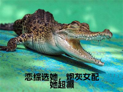 恋综选她，炮灰女配她超癫（江沐忆萧焕安）小说最新章节阅读-全网最新首发小说恋综选她，炮灰女配她超癫（江沐忆萧焕安）免费阅读全章节