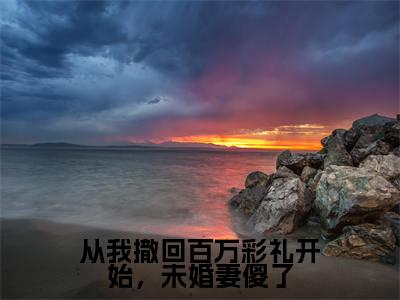 从我撤回百万彩礼开始，未婚妻傻了小说（杨宇全文完整版免费阅读）_从我撤回百万彩礼开始，未婚妻傻了小说免费最新章节列表_笔趣阁