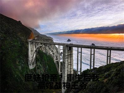 庶妹抢亲？重生后我高嫁战神王爷（许流光墨严晨）全文免费阅读无弹窗_许流光墨严晨最新小说_笔趣阁