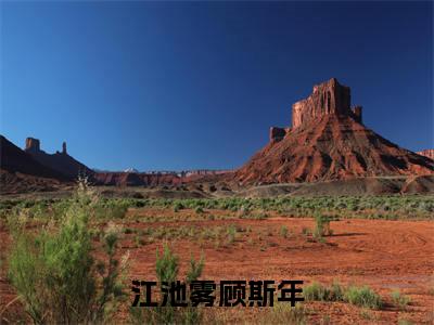 江池雾顾斯年（顾斯年江池雾）免费阅读无弹窗大结局_江池雾顾斯年小说（顾斯年江池雾）免费阅读最新章节列表