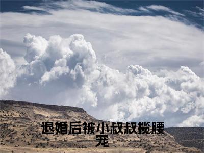 阮荔傅淮洲（退婚后被小叔叔揽腰宠）全文免费阅读无弹窗大结局_（阮荔傅淮洲全文阅读）退婚后被小叔叔揽腰宠无弹窗最新章节列表