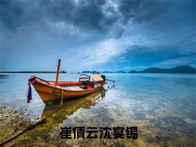 沈宴锡崔倩云（崔倩云沈宴锡全文免费阅读）_沈宴锡崔倩云小说最新章节免费阅读