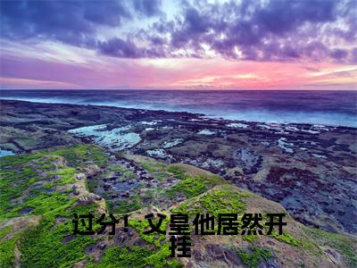 过分！父皇他居然开挂（云舒）小说免费下载全本-过分！父皇他居然开挂（云舒完整版）免费阅读无弹窗