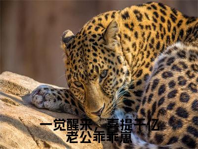 温筱江淮全文免费免费阅读无弹窗最新章节列表_笔趣阁（一觉醒来，喜提千亿老公乖乖崽全文免费）