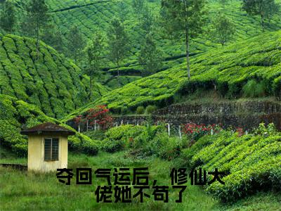 夺回气运后，修仙大佬她不苟了全文免费阅读无弹窗-（沈云翎）夺回气运后，修仙大佬她不苟了最新章节列表在线阅读