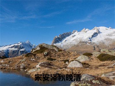 宋安泽秋晚清（宋安泽秋晚清）小说结局-宋安泽秋晚清全文无弹窗阅读