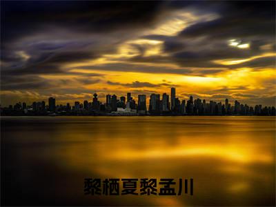 黎栖夏黎孟川（黎栖夏黎孟川）全文免费阅读无弹窗_（黎栖夏黎孟川小说免费阅读）最新章节列表笔趣阁