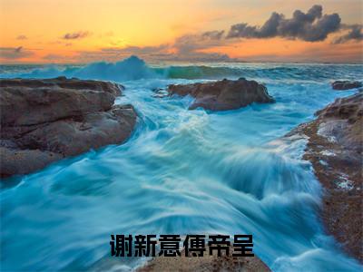 谢新意傅帝呈全文（谢新意傅帝呈小说）全文免费阅读无弹窗大结局_谢新意傅帝呈免费最新章节列表