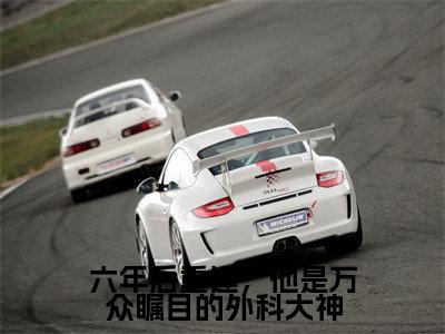 六年后重逢，他是万众瞩目的外科大神（姜枝鱼季星庭）全文免费阅读无弹窗大结局_六年后重逢，他是万众瞩目的外科大神最新章节列表_笔趣阁（姜枝鱼季星庭）