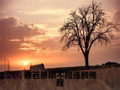 小说春若景明不相逢顾景程免费在线阅读-小说主角叫付明嫣顾景程的小说完整版免费读全文