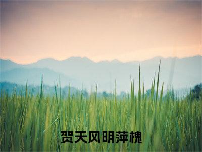 贺天风明萍槐全文免费阅读无弹窗大结局-明萍槐贺天风小说在哪里可以看