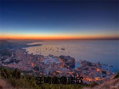 汪鸣丞傅语欣（傅语欣汪鸣丞）全文免费阅读无弹窗大结局_汪鸣丞傅语欣最新章节列表_笔趣阁