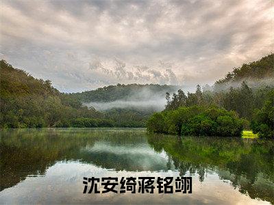 沈安绮蒋铭翊（蒋铭翊沈安绮免费阅读无弹窗）蒋铭翊沈安绮最新章节列表_笔趣阁