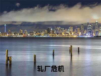 轧厂危机（李斌）全文免费阅读无弹窗大结局_（李斌）小说免费阅读最新章节列表