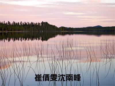 沈南峰崔倩雯崔倩雯沈南峰小说全文免费阅读_崔倩雯沈南峰（沈南峰崔倩雯）最新章节列表笔趣阁