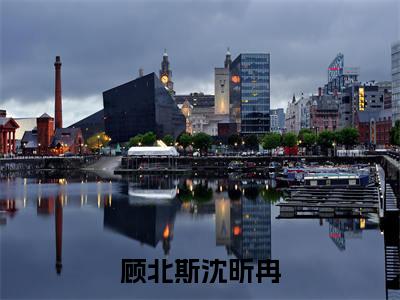顾北斯沈昕冉（沈昕冉顾北斯）小说全文免费读无弹窗大结局_顾北斯沈昕冉小说章节试读最新章节列表笔趣阁