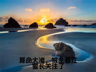 全章节完整《算命太准，被全香江警长关注了》全文阅读《叶知瑜》