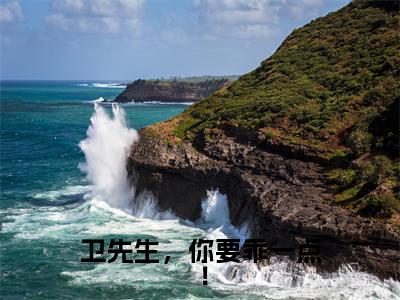 司妤柠卫闻璟（卫先生，你要乖一点！）全文在线阅读无弹窗大结局_卫先生，你要乖一点！全文无弹窗最新章节列表