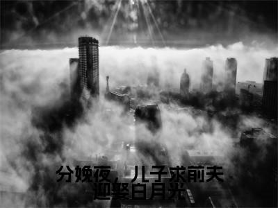 分娩夜，儿子求前夫迎娶白月光（分娩夜，儿子求前夫迎娶白月光）小说在线阅读_分娩夜，儿子求前夫迎娶白月光全本免费小说阅读（姜瑜）