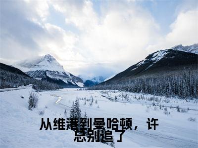 从维港到曼哈顿，许总别追了（许一凡周言）小说全文免费阅读无弹窗大结局_从维港到曼哈顿，许总别追了小说免费阅读最新章节列表笔趣阁（许一凡周言）