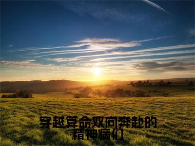 沈知念傅观辞全文免费阅读大结局穿越算命双向奔赴的精神病们最新章节列表（全文）+（番外）