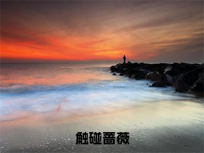 浦应辛林筱帆小说免费阅读-触碰蔷薇言情小说浦应辛林筱帆讲的是什么