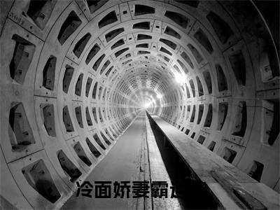 冷面娇妻霸道宠（沐朵冉唐轩南）全文免费阅读无弹窗大结局_冷面娇妻霸道宠免费最新章节列表_笔趣阁