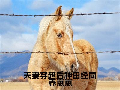 夫妻穿越后种田经商养崽崽小说全文免费阅读夏知秋宋景恒免费完整版阅读